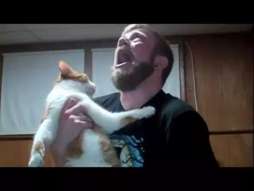 A Dude Got Drunk and Filmed a Video With His Cat