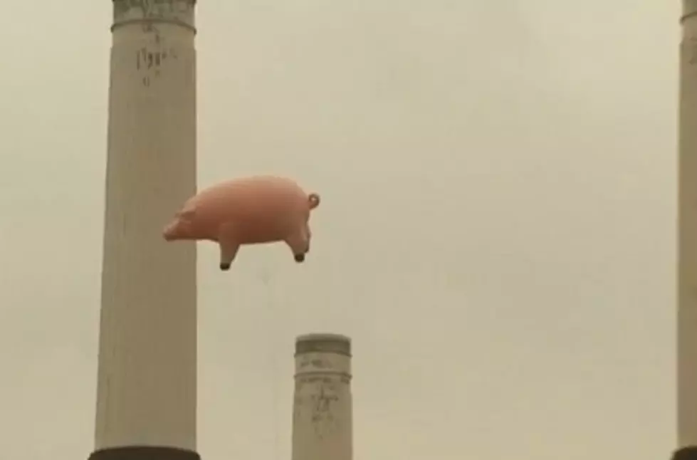 This Day in History – Pink Floyd Shows that Pigs Really Do Fly [VIDEO]