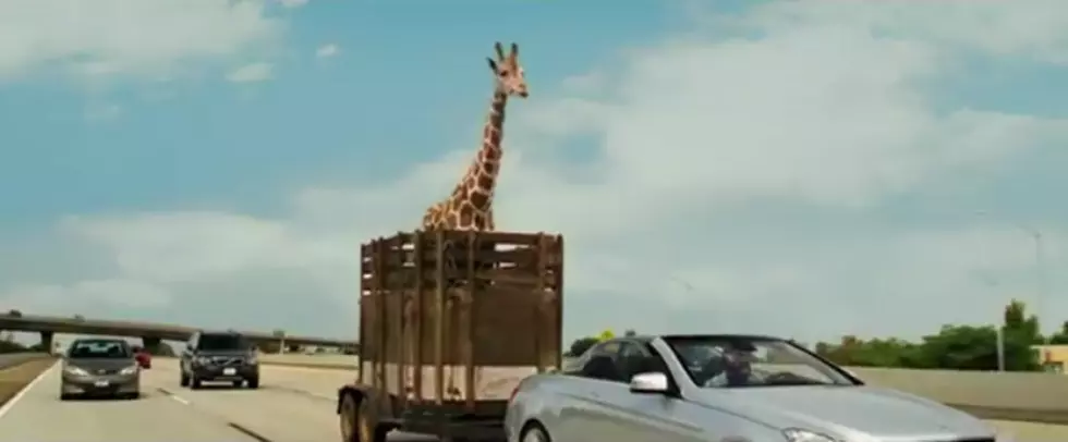 It&#8217;s Bad Times for a Giraffe in the Trailer for &#8216;The Hangover Part III&#8217;