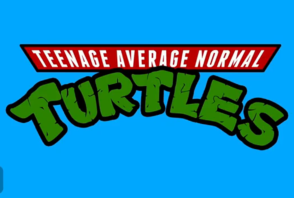 It’s the Teenage Average Normal Turtles! [VIDEO]