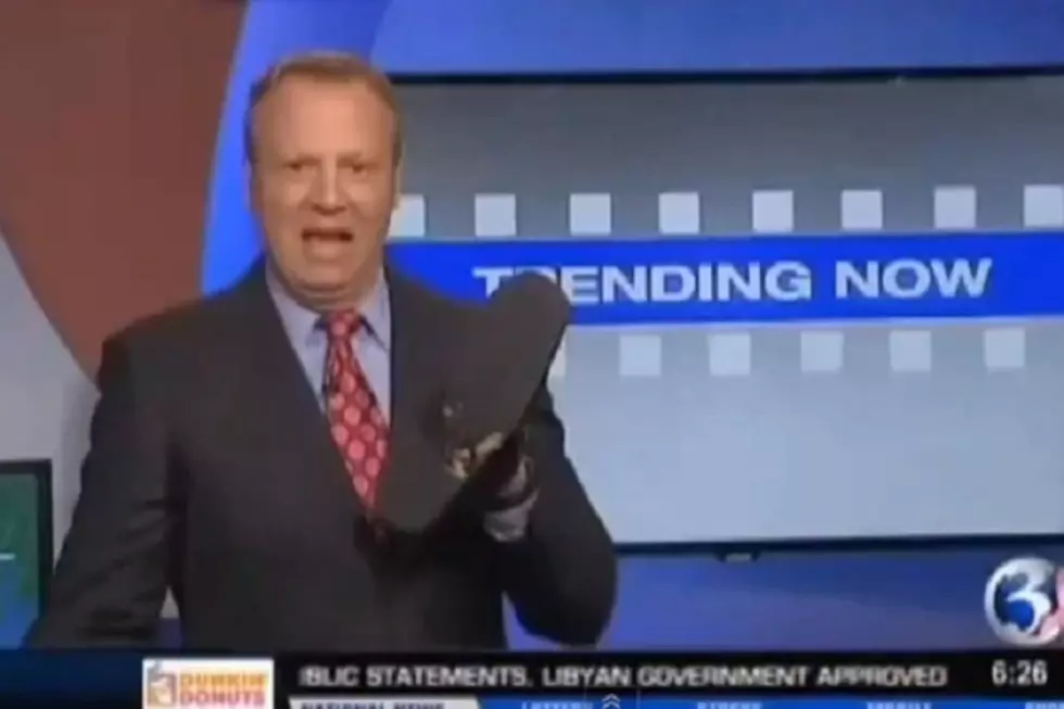 Weatherman Eats Cat Vomit on Live TV [VIDEO]