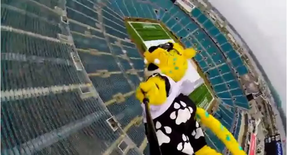 Rope Swing Zip Line is the Ultimate Thrill at Jaguars Stadium [VIDEO]