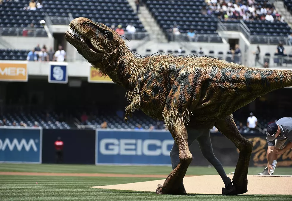 T-Rex Throws Out First Pitch at Padres Game [VIDEO]