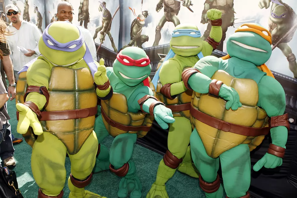 Everything Wrong with Original Live Action TMNT Movie [VIDEO]