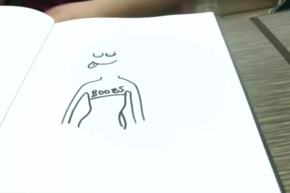 Men Draw Their Idea of the Perfect Boobs [NSFW, VIDEO]