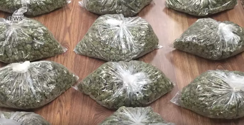 Texas Men Busted In CA After Attempted Pot Theft