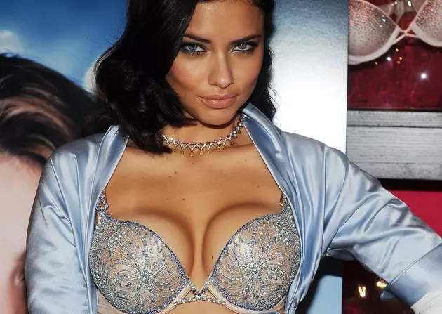 Bra Inserts Filled With Meth Result in Over 700 Million Dollar Drug Bust