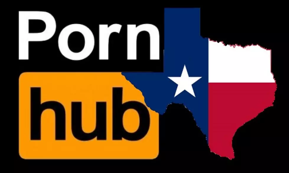 What Type of Porn do Texans Search For the Most?