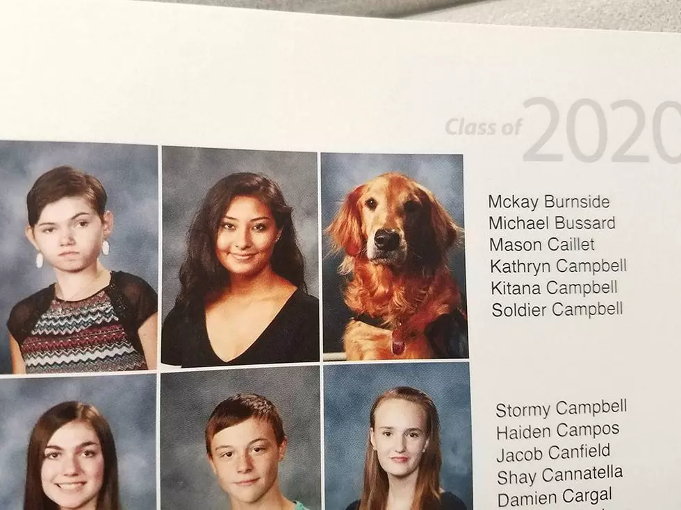 North Texas Service Dog Gets His Own Photo in High School Yearbook