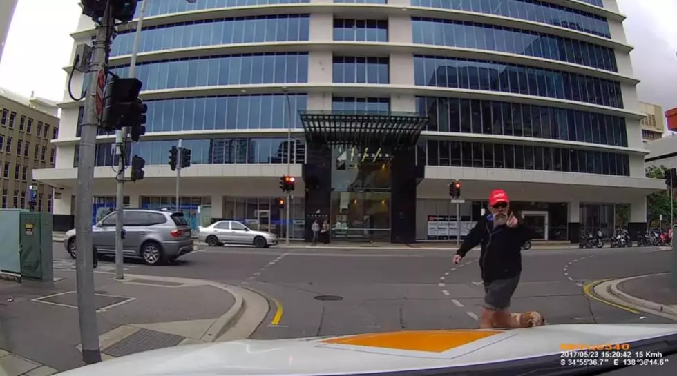 Watch This Pissed Off Pedestrian Receive Instant Karma