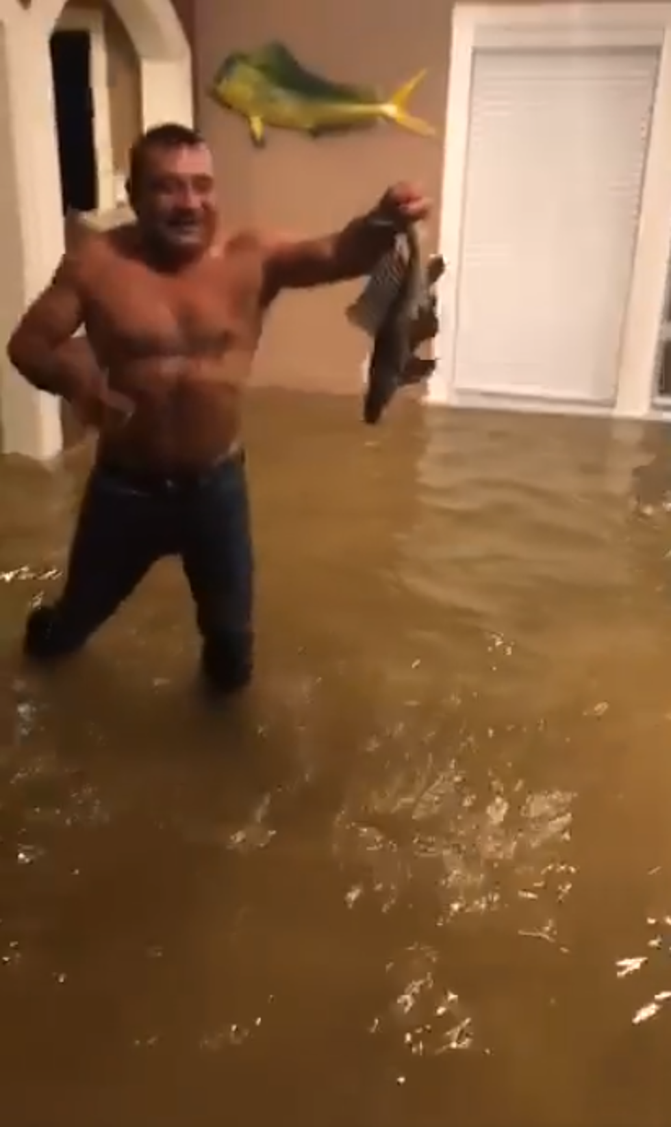 Hurricane Harvey Turns Houston Living Room into New Fishing Hole [VIDEOS]