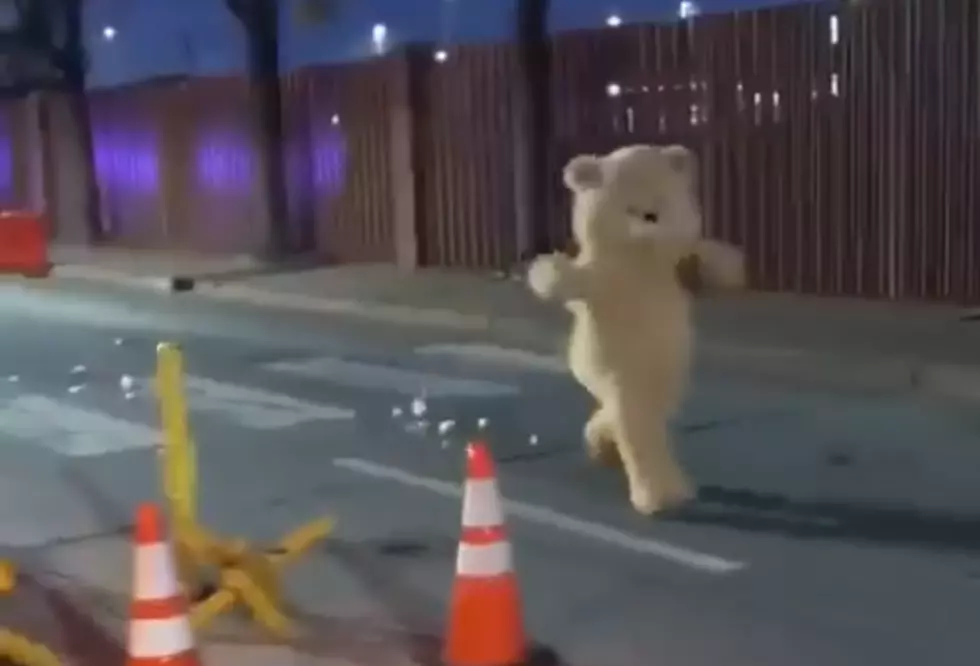 Giant Teddy Bear Tackled After Rushing Gate at Sheppard Air Force Base