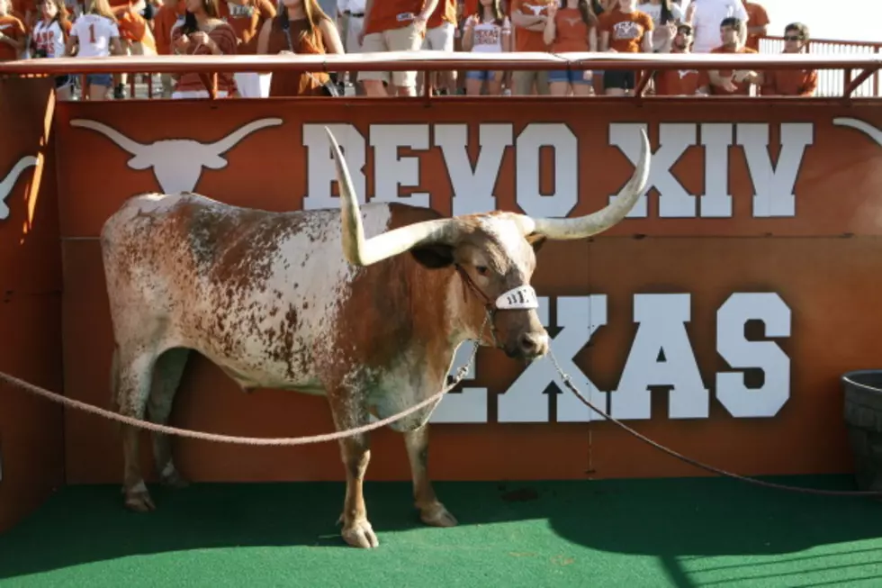 PETA Calls For an End to Live Animal Mascots After Bevo/Uga &#8216;Incident&#8217;