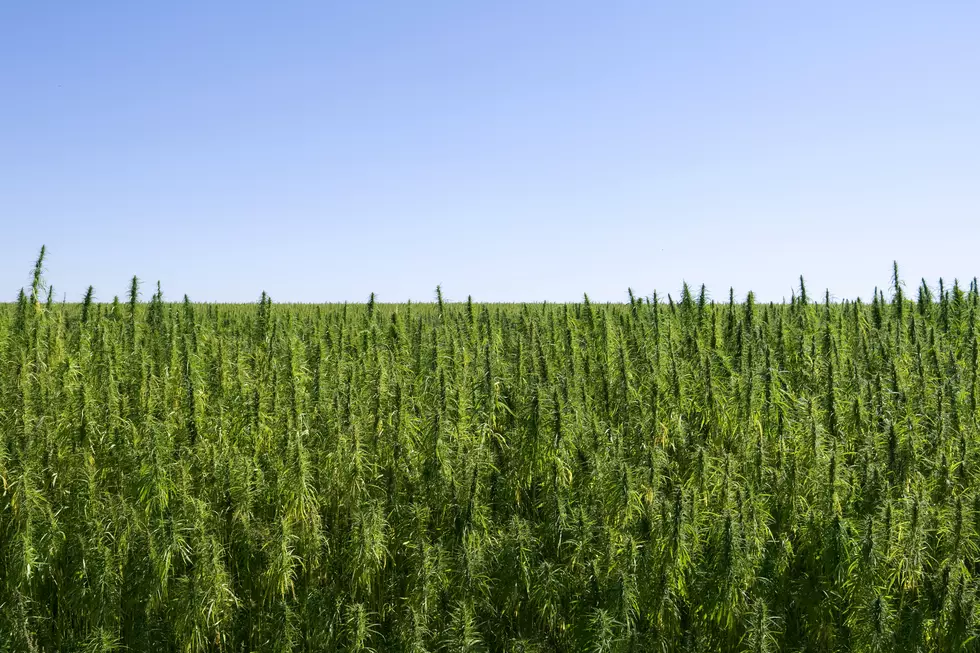 Hemp to No Longer be Considered a Controlled Substance in Texas