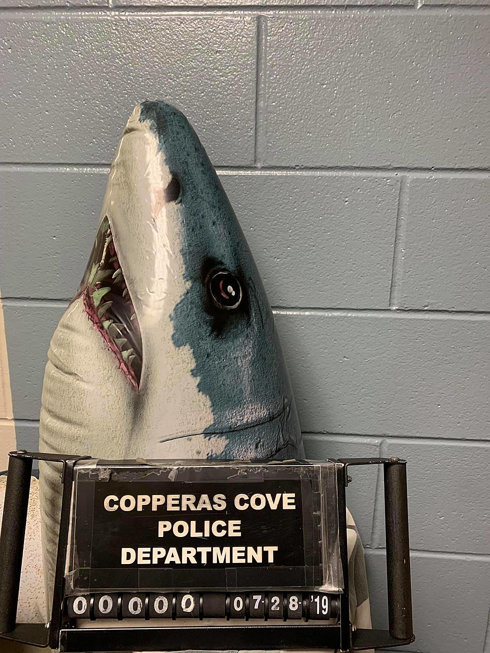 Texas Police Bust Shark For Being in Possession of Sea’weed’