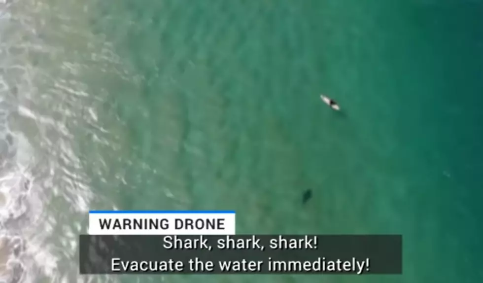 A Drone Operator Saved a Surfer From a Shark