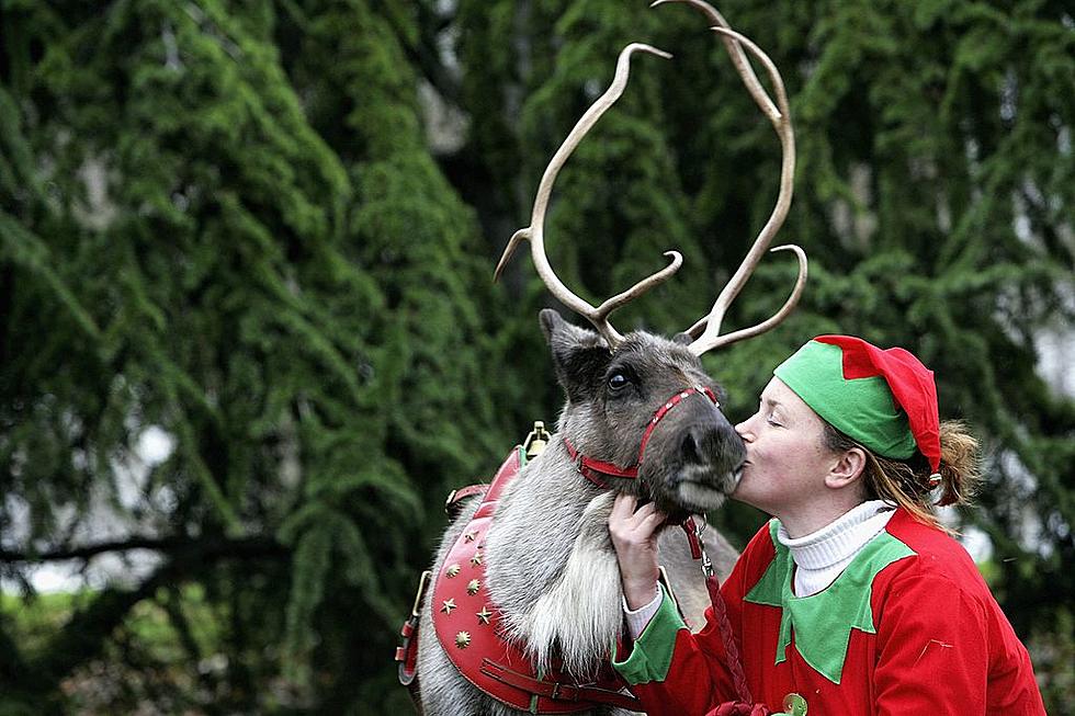 Did You Know Santa’s Reindeer Are Being Trained in Oklahoma Right Now?