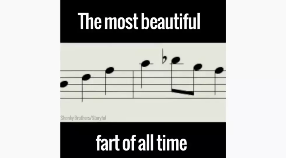And Now…the Most Beautiful Fart of All-Time