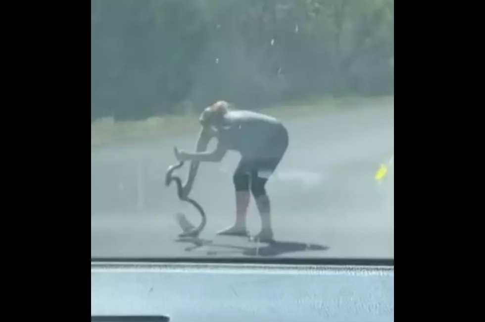 And Now…a Pregnant Woman Picking Up a Snake