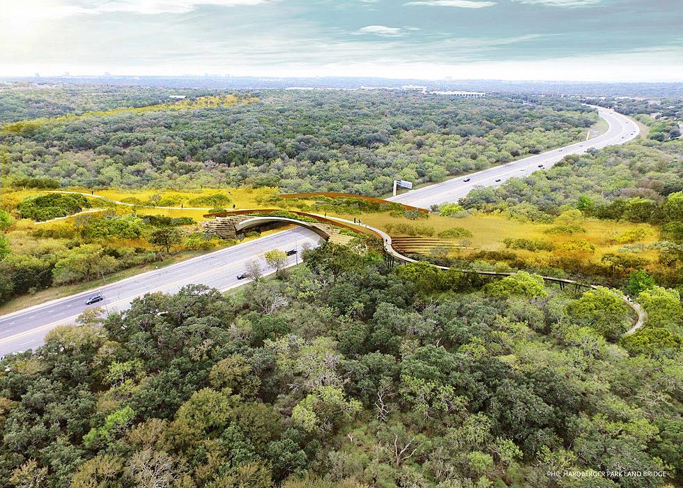 Largest Wildlife Bridge in the Country Opened Today in Texas