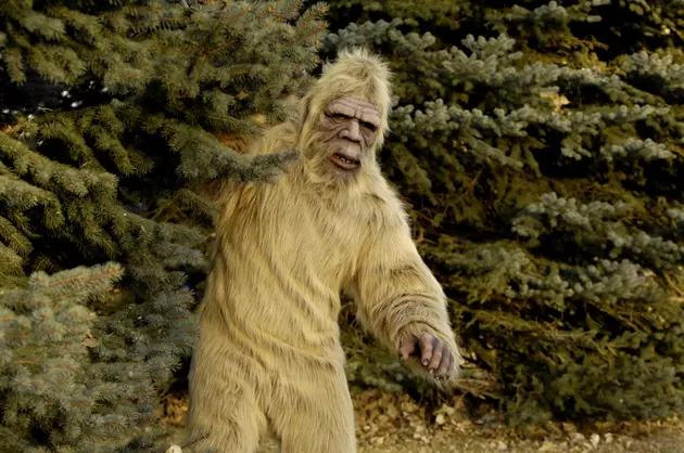 A Film Crew is Searching for Bigfoot in Oklahoma