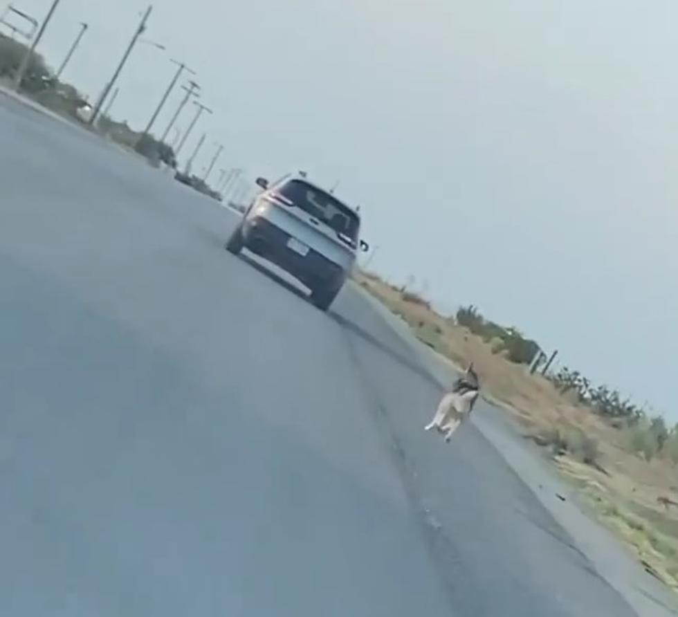 Texas Man Charged After Abandoning Dog on the Side of the Road