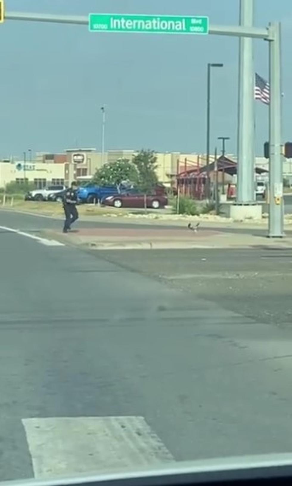 Why Did the Texas Chicken Cross the Road? To Run from the Police