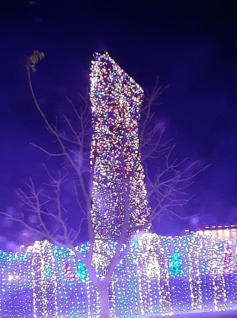 World’s Largest Christmas Tree in Oklahoma Breaks Off Due to High Winds