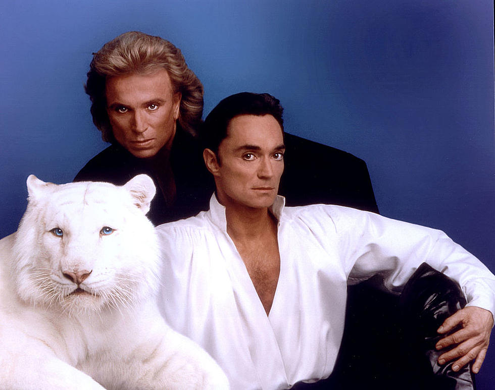 Some of Siegfried and Roy’s Big Cats Are Now Living in North Texas