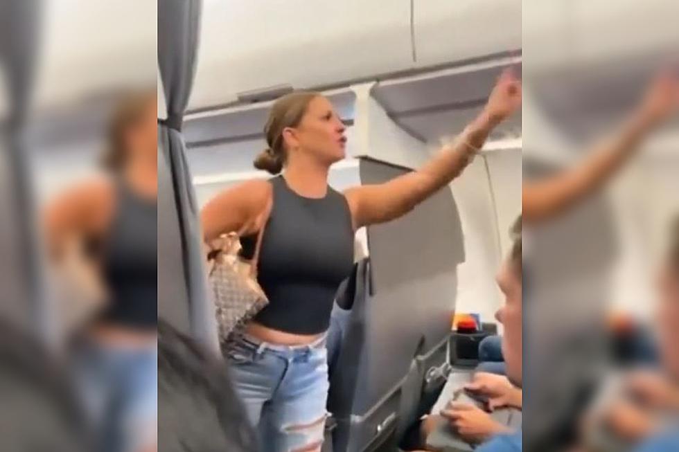 Hilarious Painting of Woman Who Freaked Out on Plane at DFW