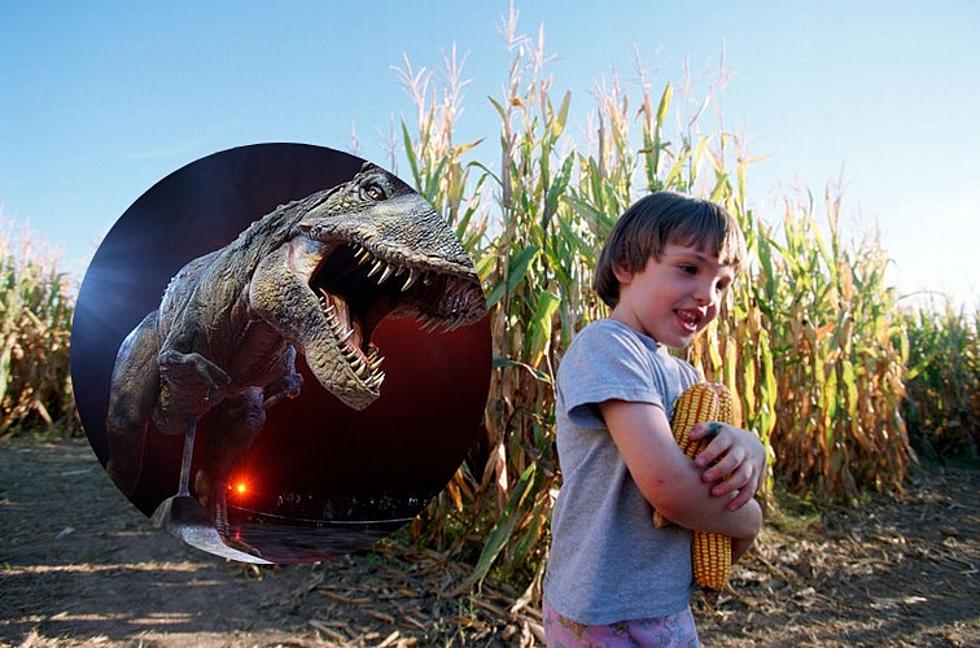 Dinosaur Themed Corn Maze Opening This Fall in Texas