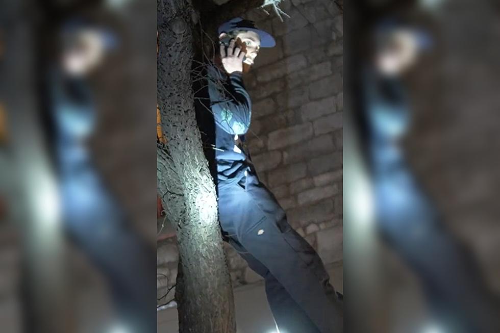 Man Unsuccessfully Attempts to Hide From Austin Police in Tree