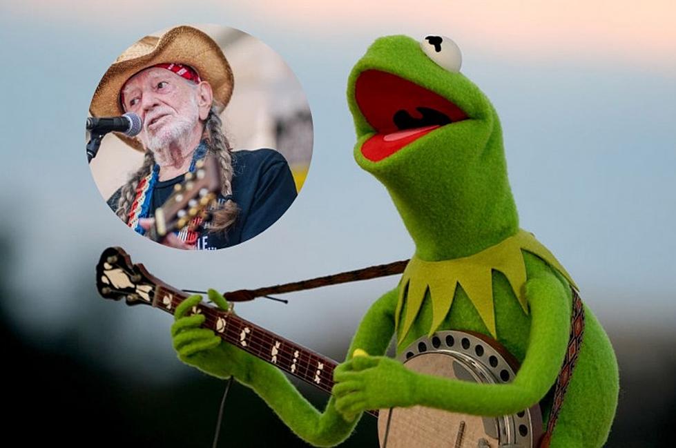 Kermit the Frog and Willie Nelson Played a Concert in Texas Last Night