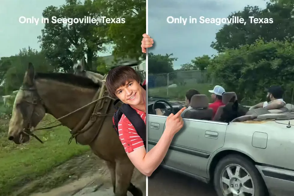 A Car Being Pulled by Horses is the Most Texas Thing on the Internet