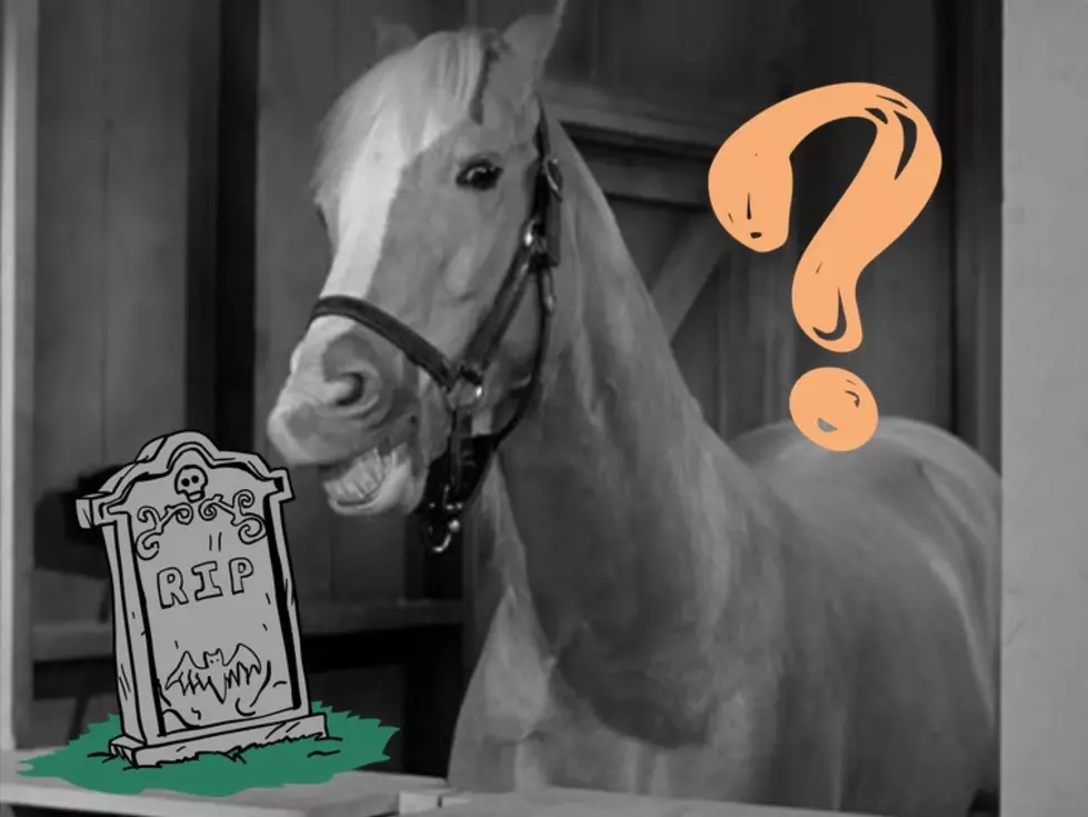 Is the Mister Ed Horse Really Buried in a Small Oklahoma Town?