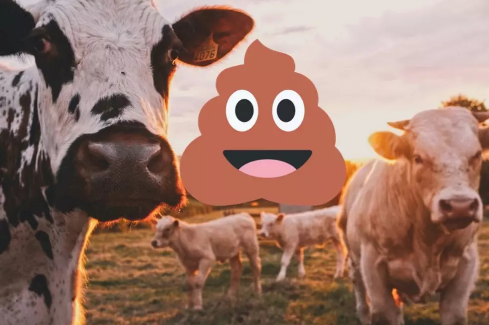 This Oklahoma Town is Famous for Throwing Cow Poop Around Every Year