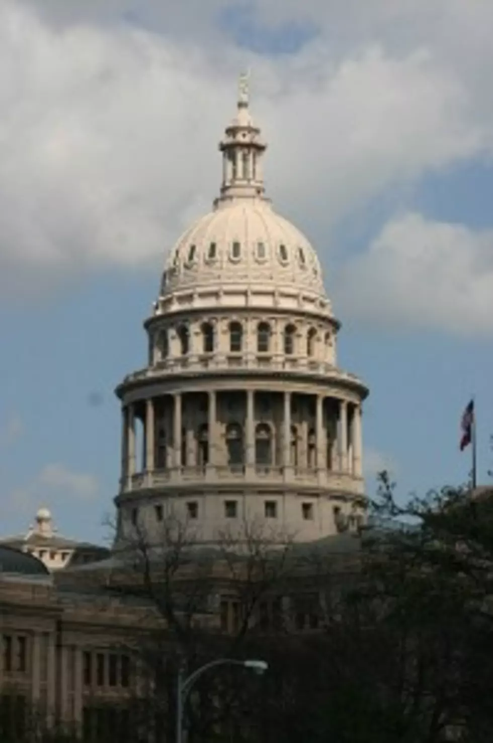 Texas Tea Party Stages Anti-Health Care Law Meet