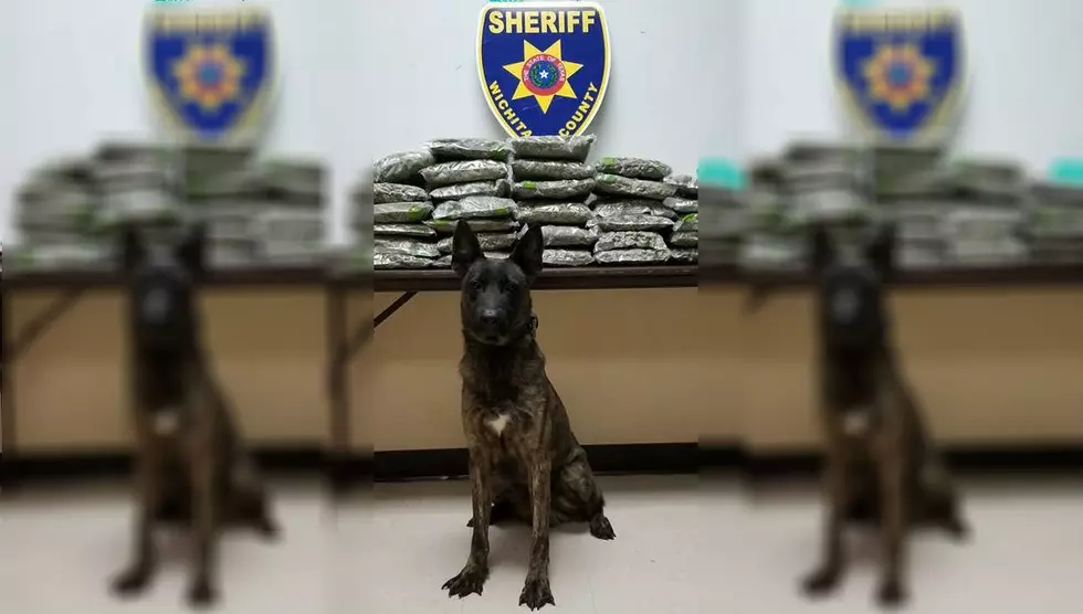 Wichita County Deputies Make Yet Another Marijuana Bust