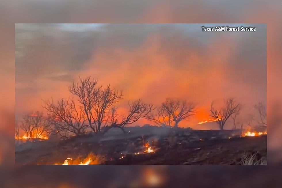Video Shows Thousands of Scorched Acres in the Texas Panhandle