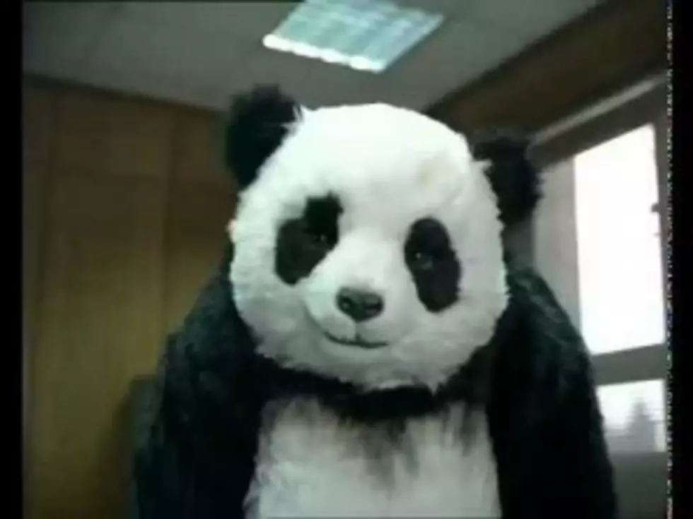 Ad Campaign Features Panda Path of Destruction [VIDEO]