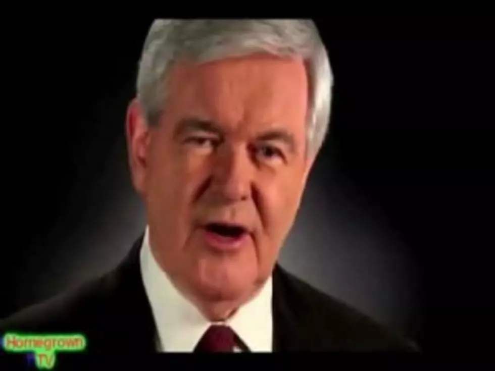 Hilarious Bad Lip Reading with Newt Gingrich [VIDEO]