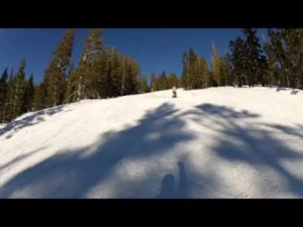 Trombone Alpine Skiing-Your Strange Video of the Day