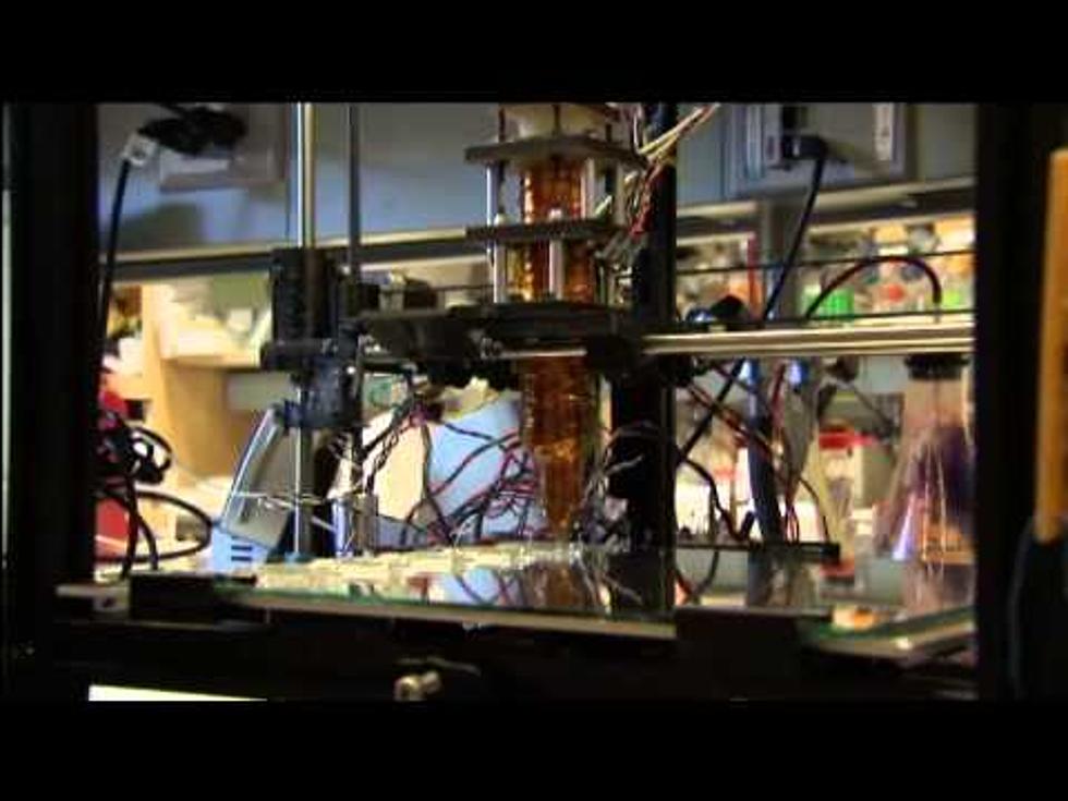Texas Law Student Creates Working 3D Printed Gun