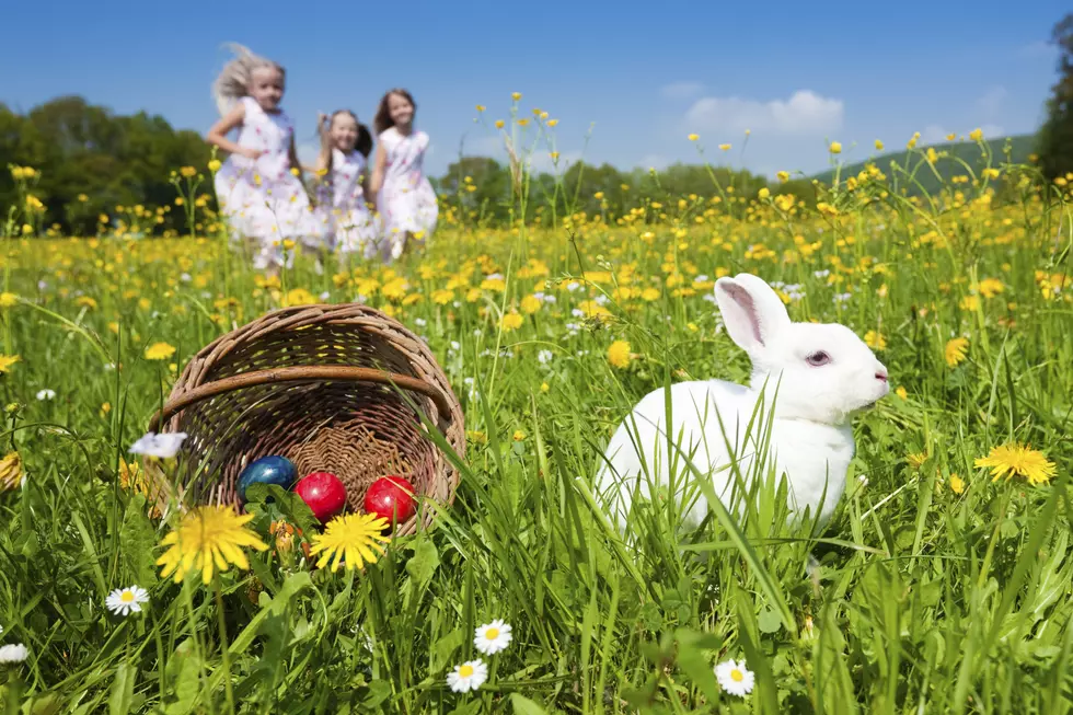 Plano is the Best Texas City to Celebrate Easter