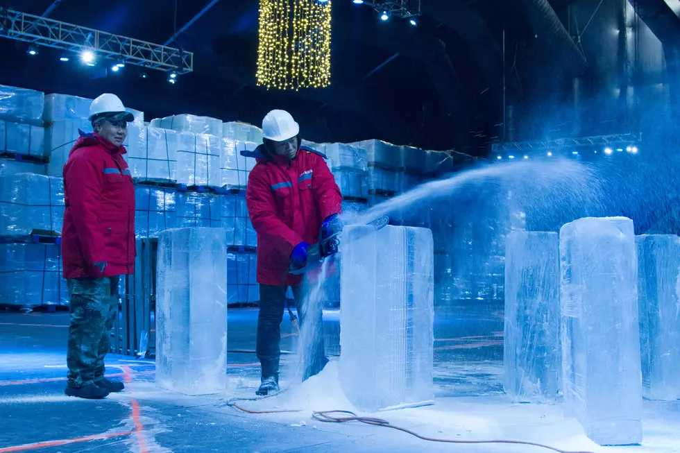 The Ice Carvers are Coming to Moody Gardens