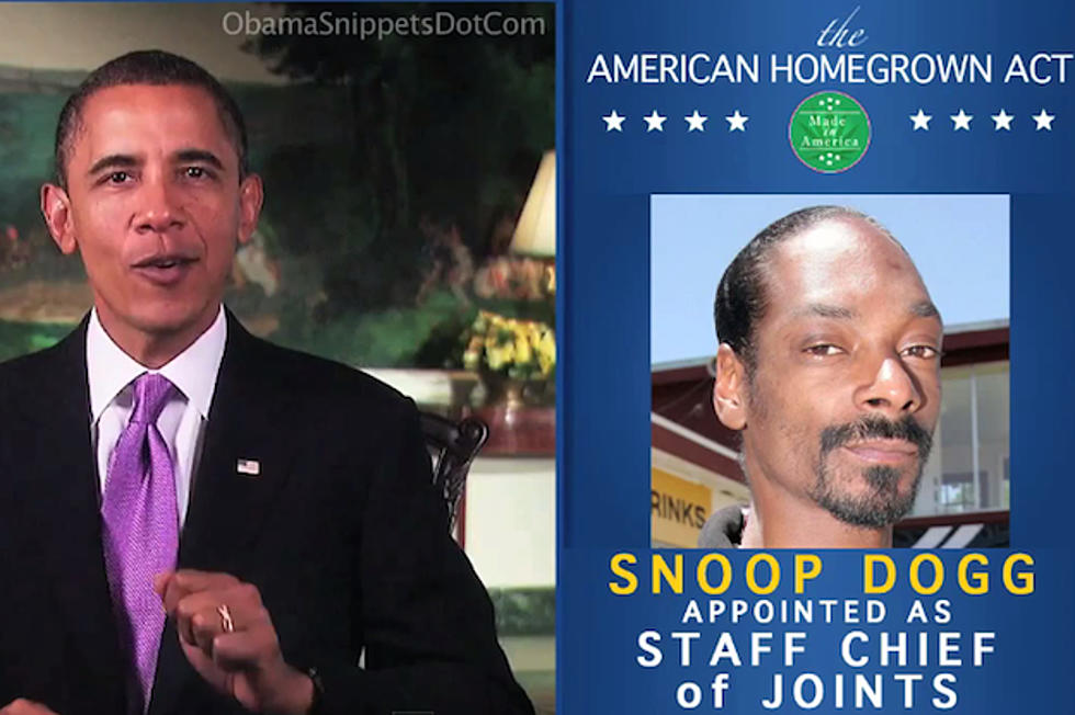 Recently Arrested Snoop Dogg Wants to Light it Up with Obama