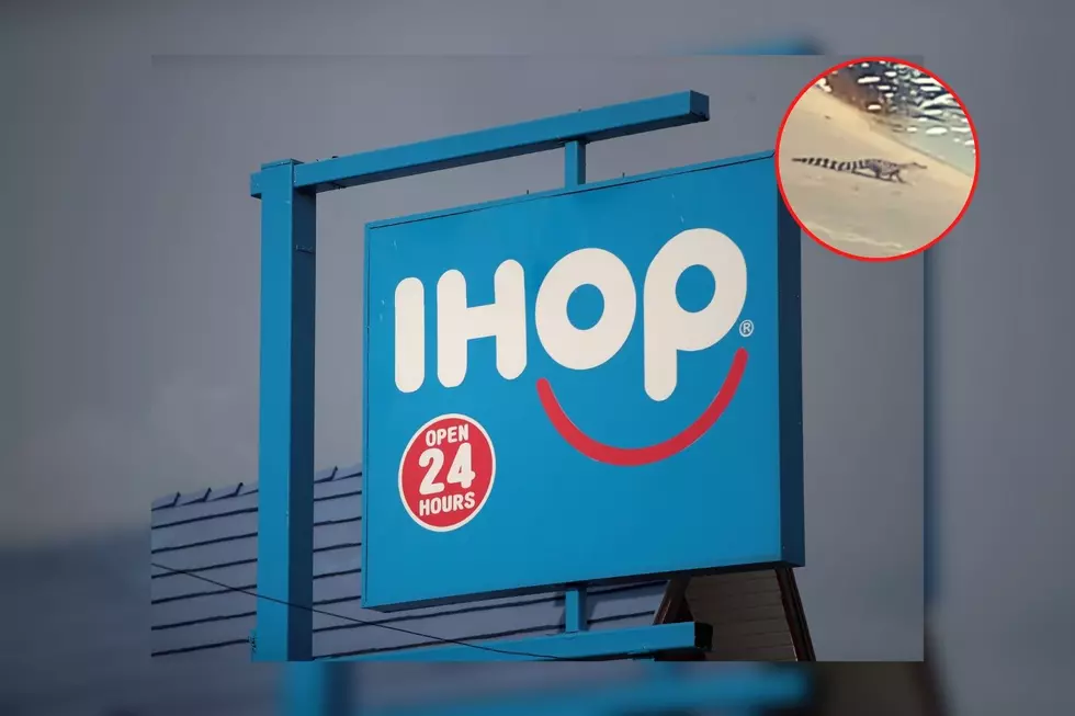 SPOTTED: Victoria IHOP Gets Bizarre New Guest