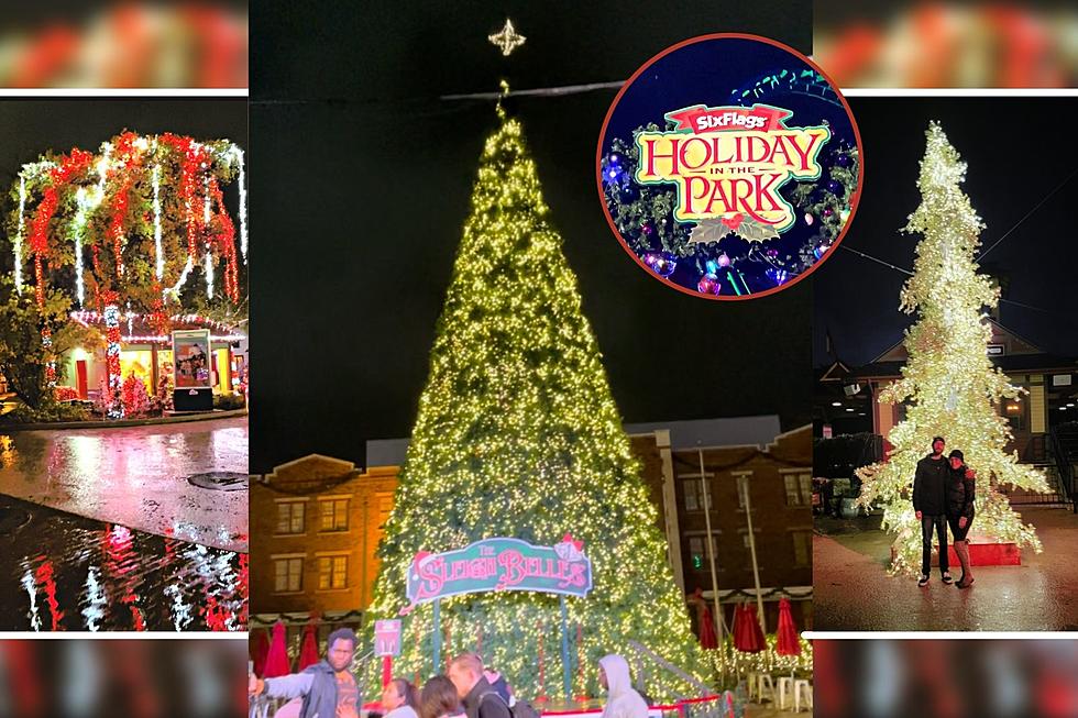 Have a Very Merry Experience at Holiday in the Park in San Antoni