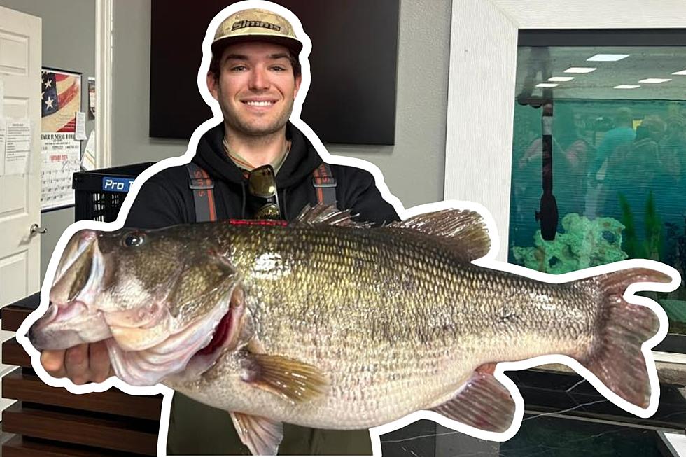 LOOK: Texas Angler Reels in Unbelievable 14 Pound Bass