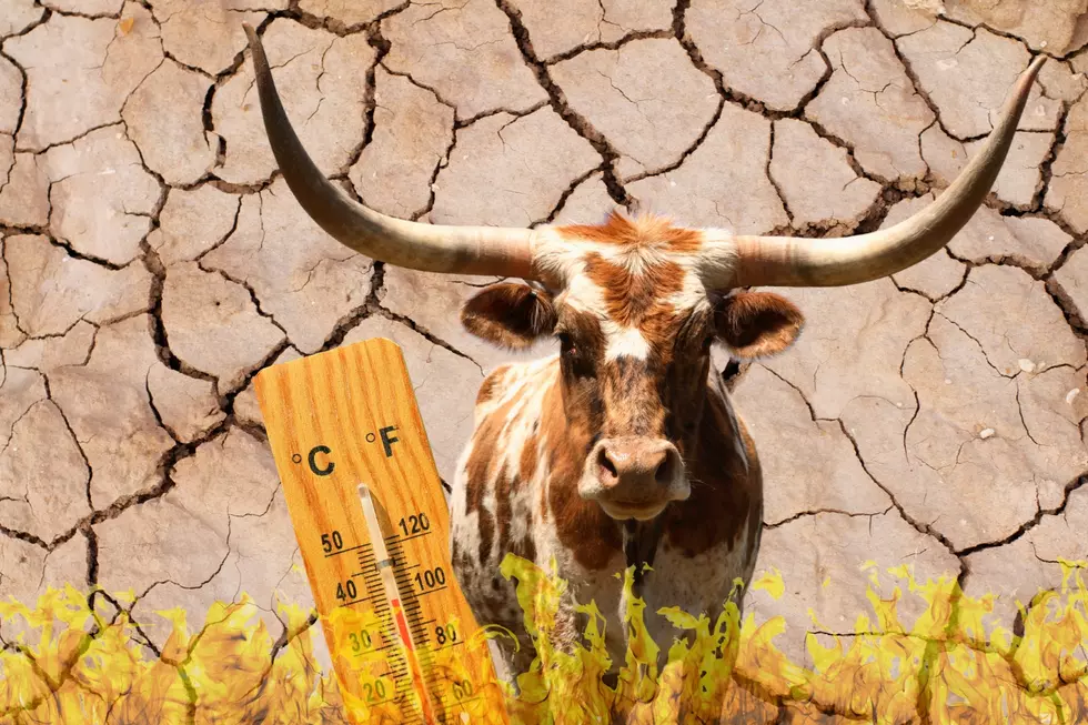 How Hot Will It Feel in Your Texas Town This Weekend?